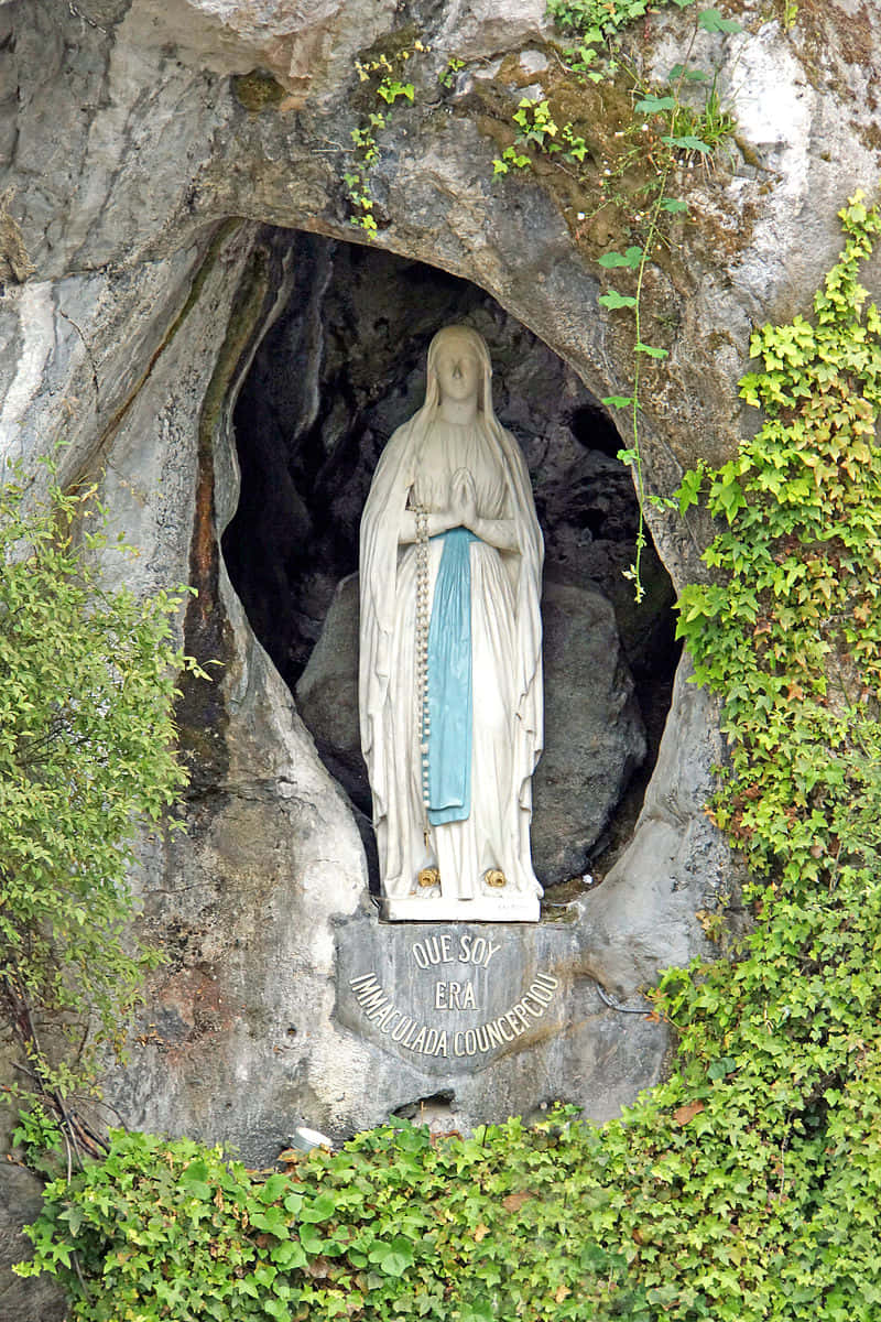 Visitors Experience Tranquility At The Lourdes Sanctuary, France