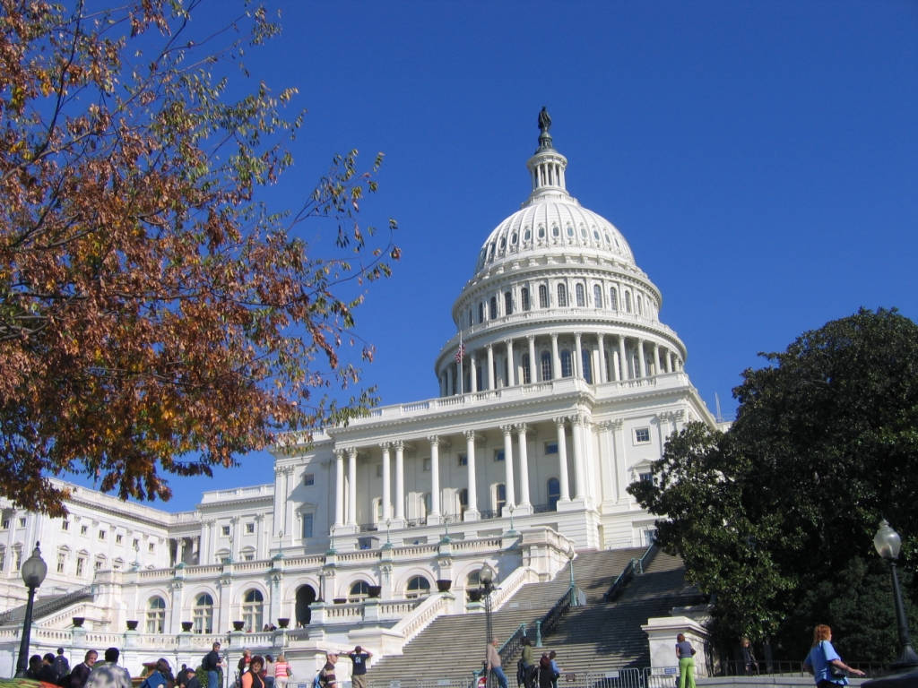 Visitors Explored The Majestic Capitol Hill Background