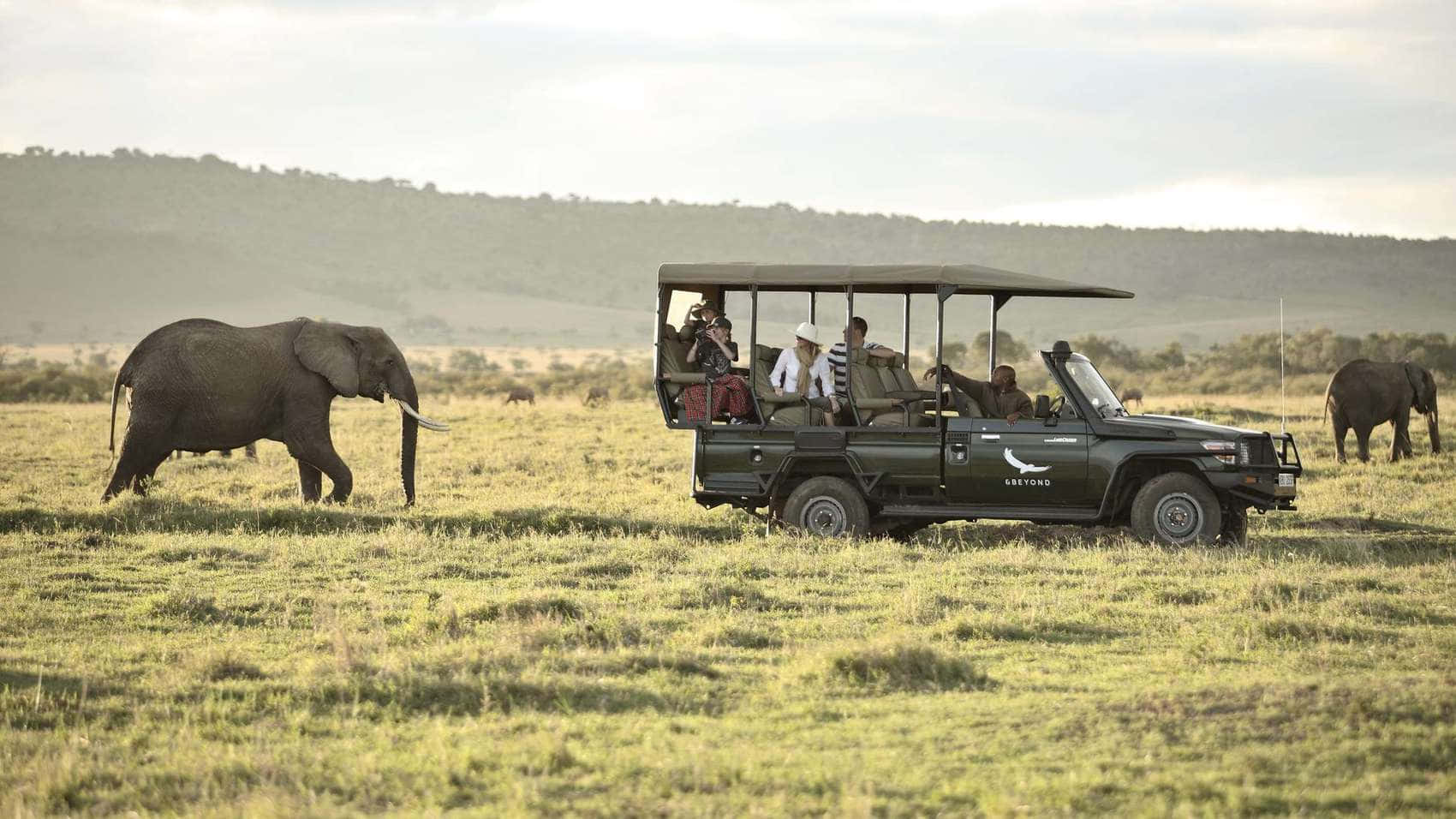 Visitors In Masai Mara National Reserve Background