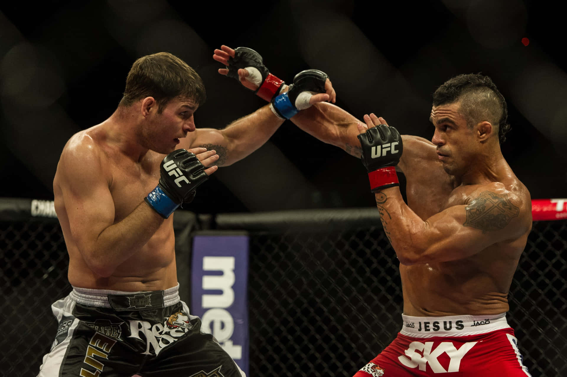 Vitor Belfort Middleweight Fight With Michael Bisping Background