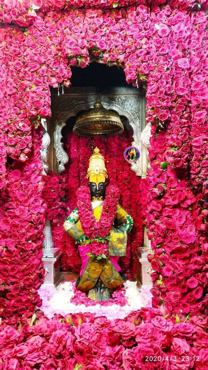Vitthal Chantry Full Of Pink Flowers Background