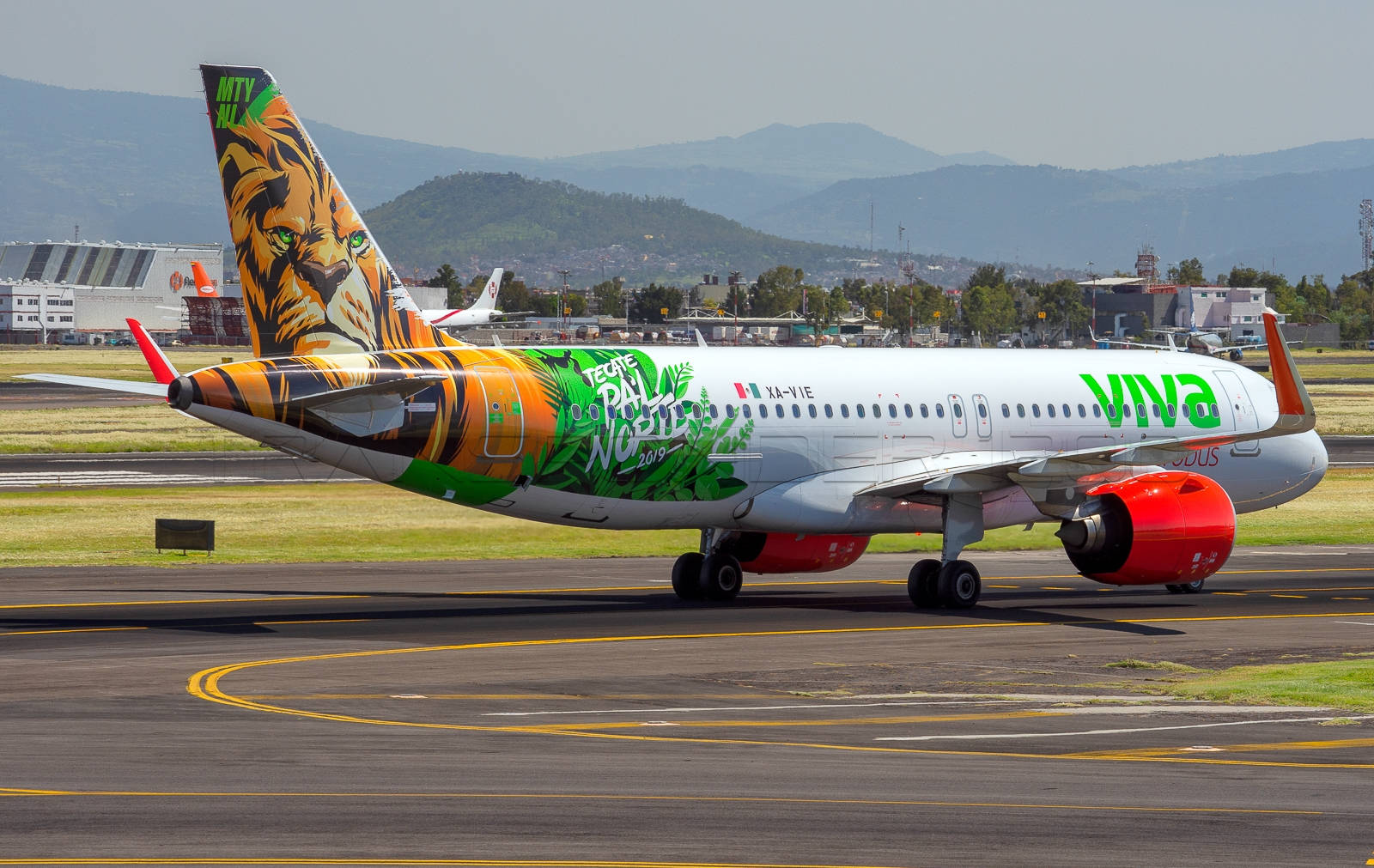 Viva Aerobus Lion Artwork On Tail