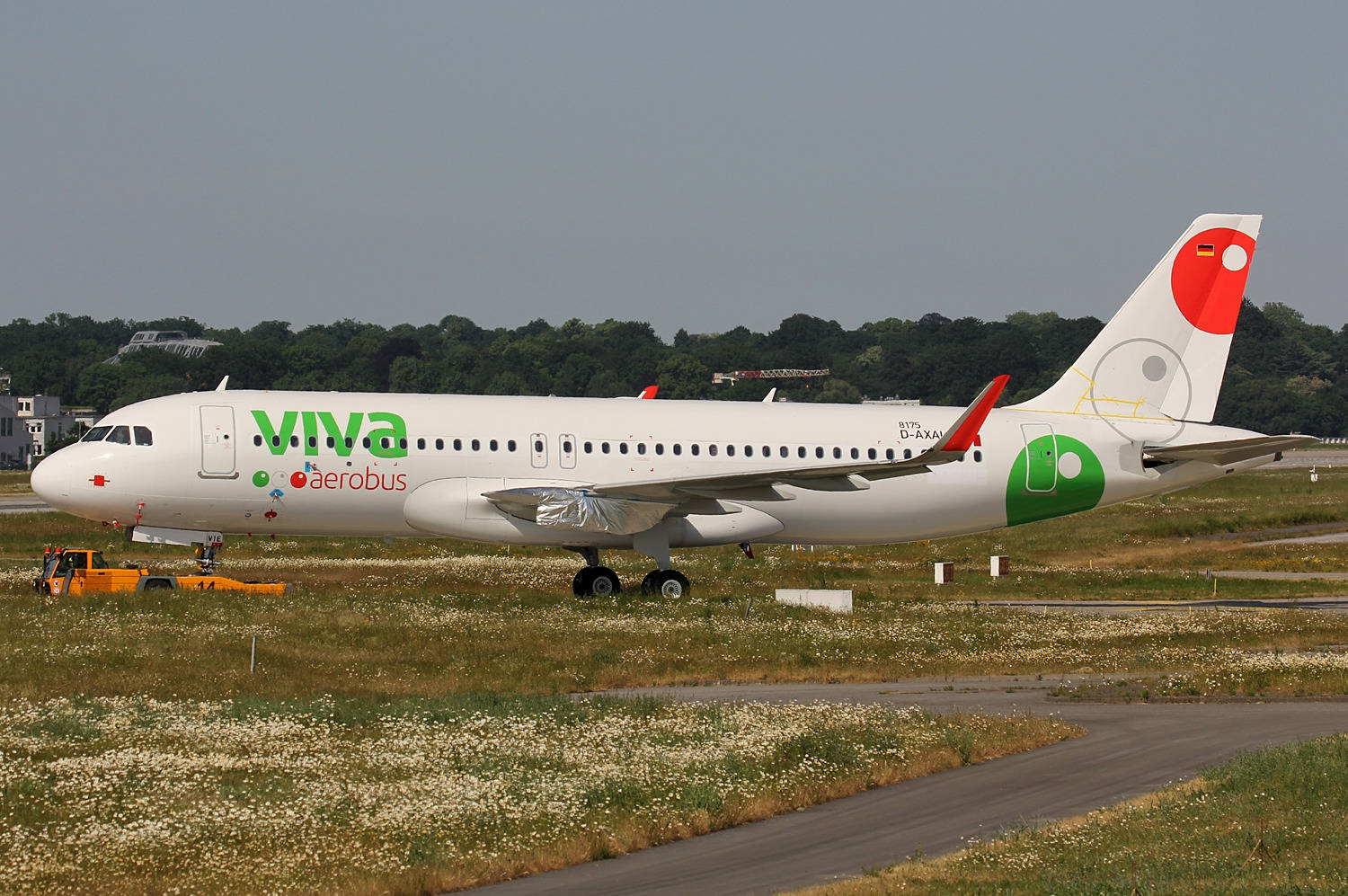 Viva Aerobus On Grass Background