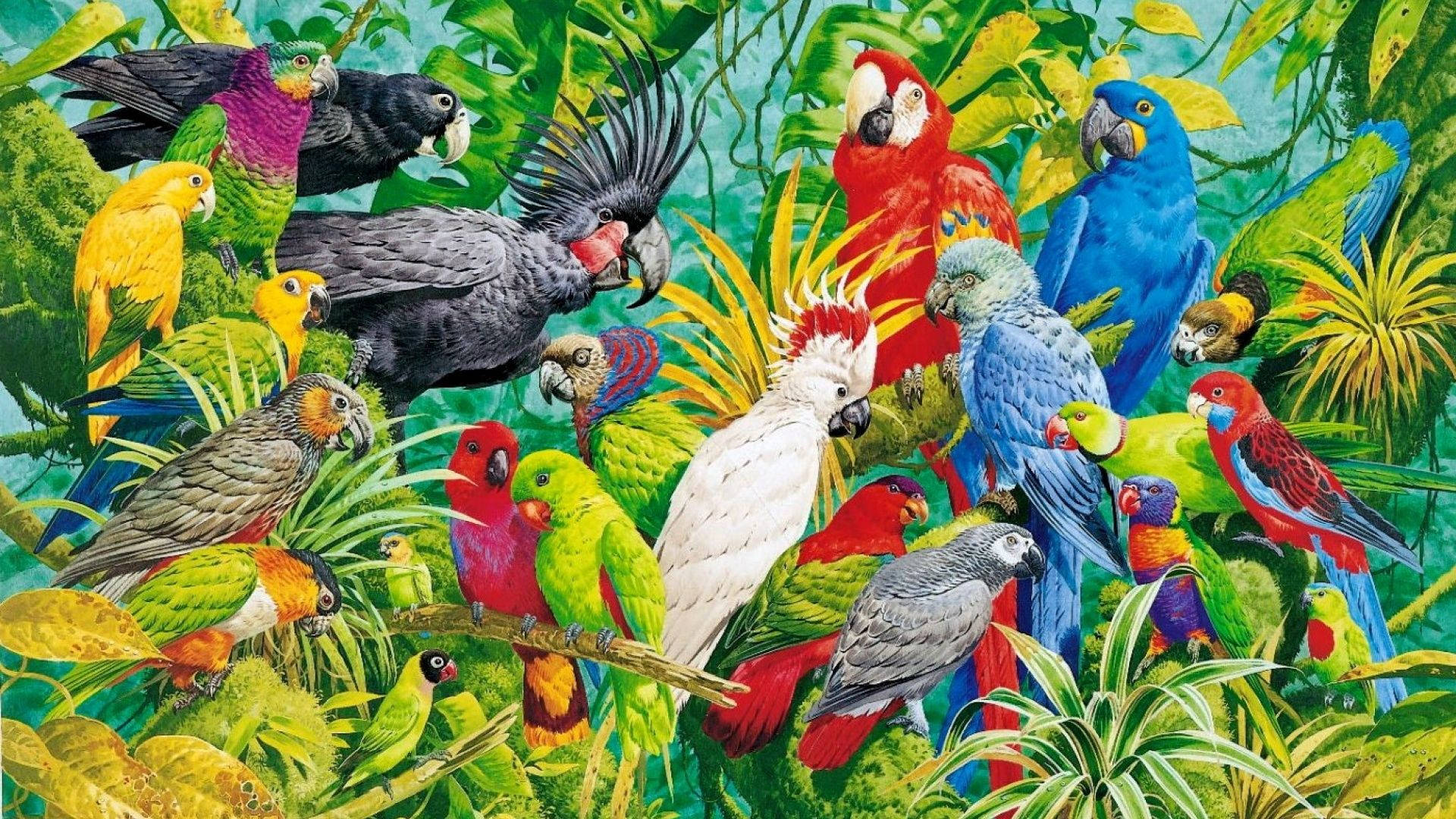 Vivid Painting Of Parrots Background