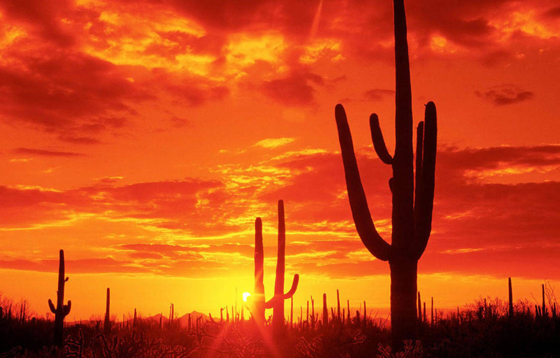 Vivid Tucson Desert Sunset Background