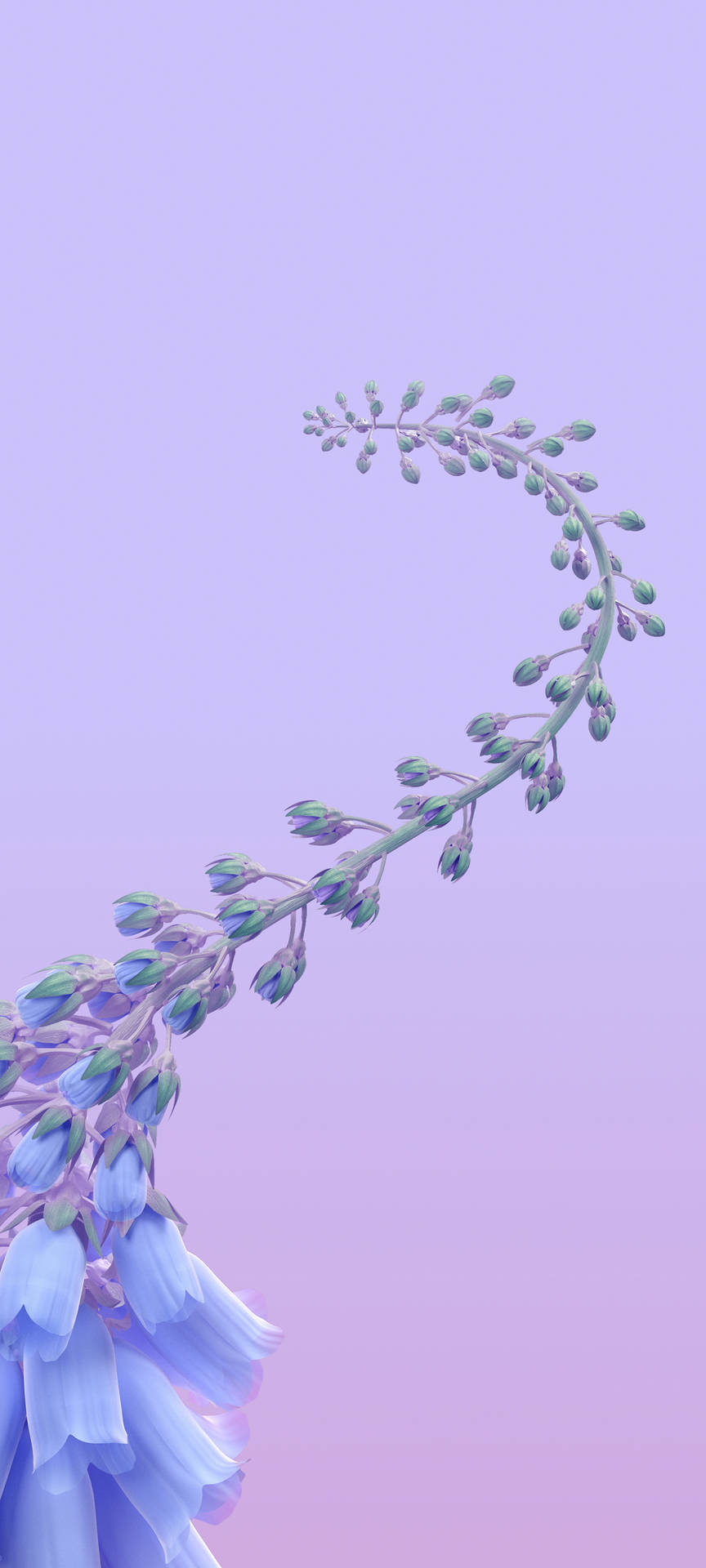 Vivo Y11 Bellflowers Background