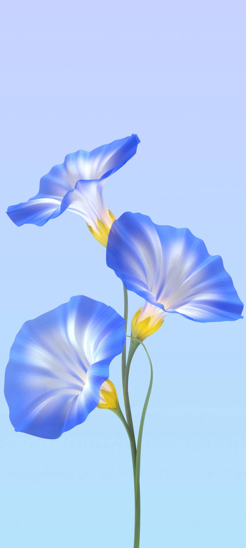 Vivo Y11 Blue Flowers Background