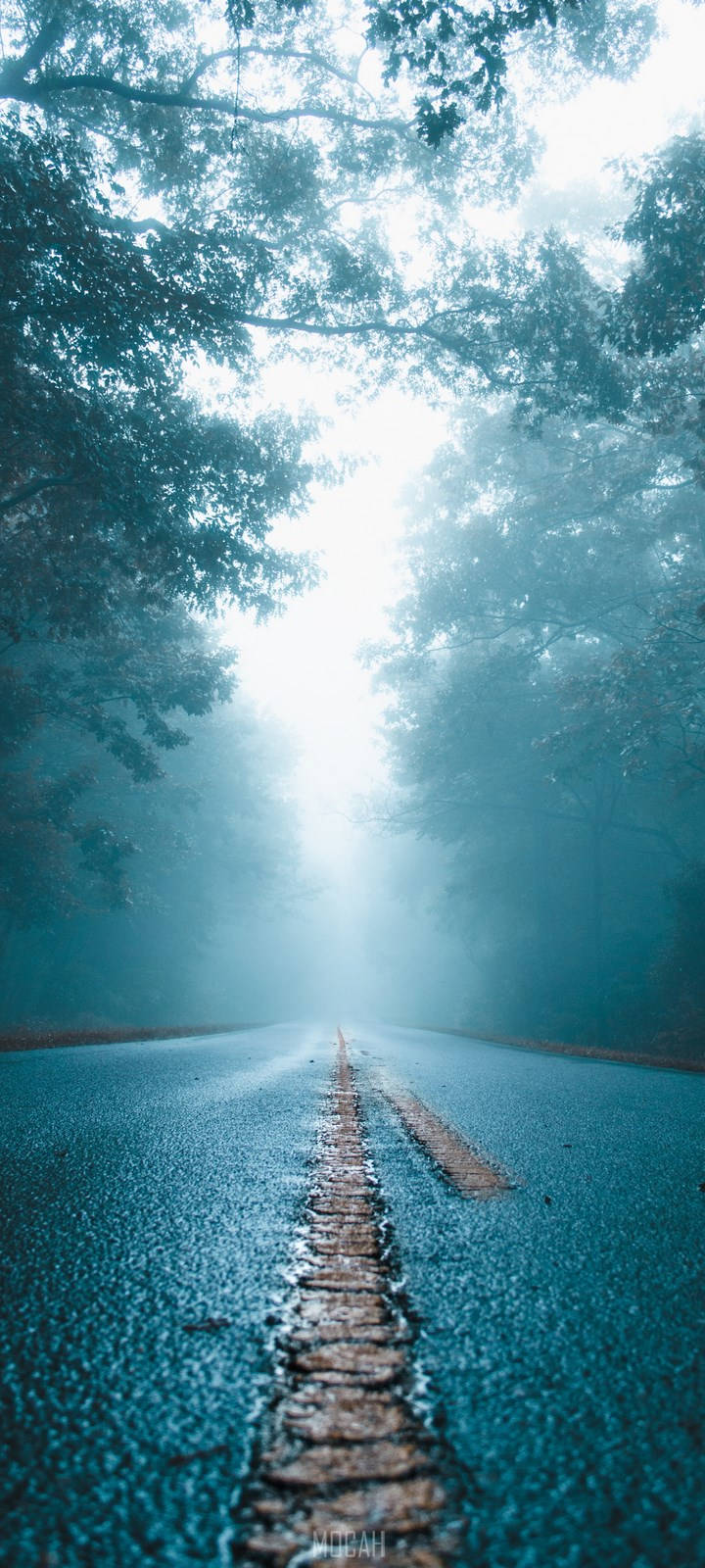 Vivo Y11 Foggy Road Background