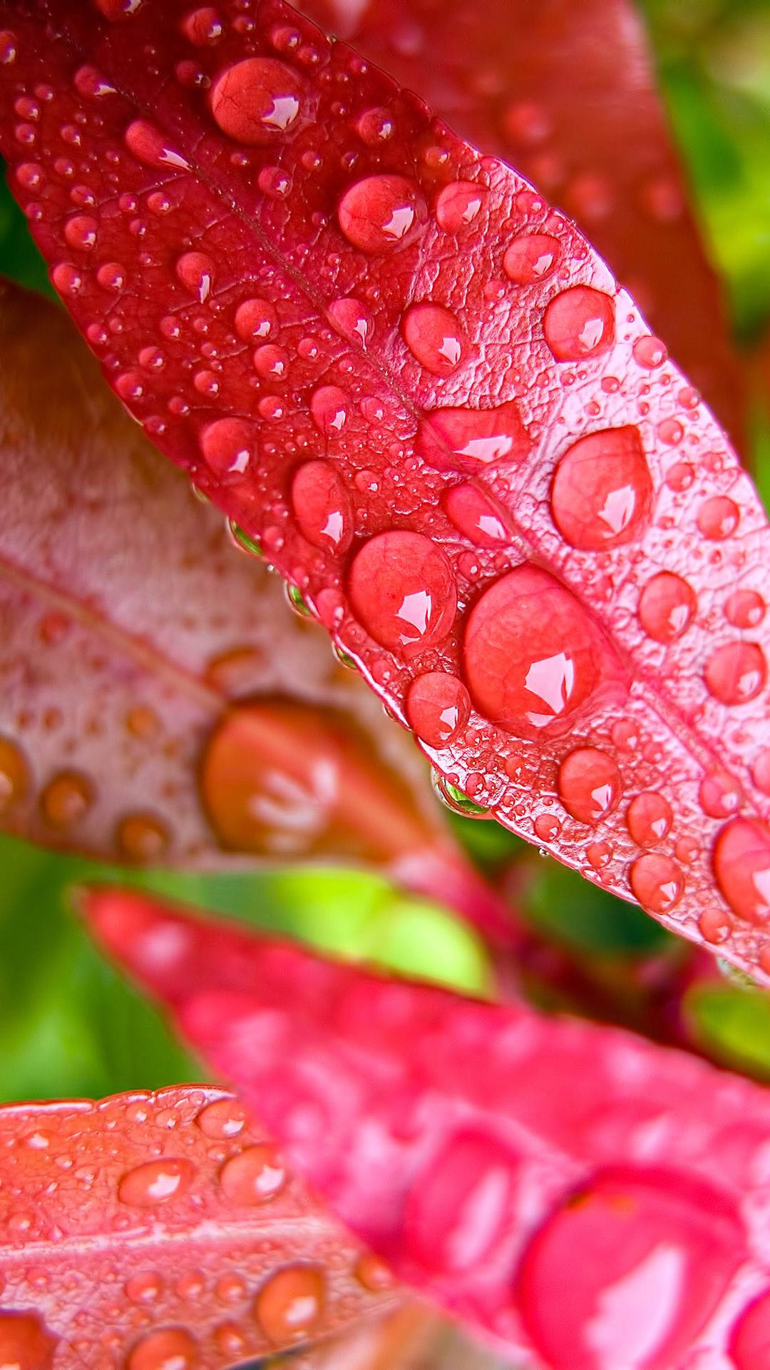 Vivo Y11 Water Droplets Background