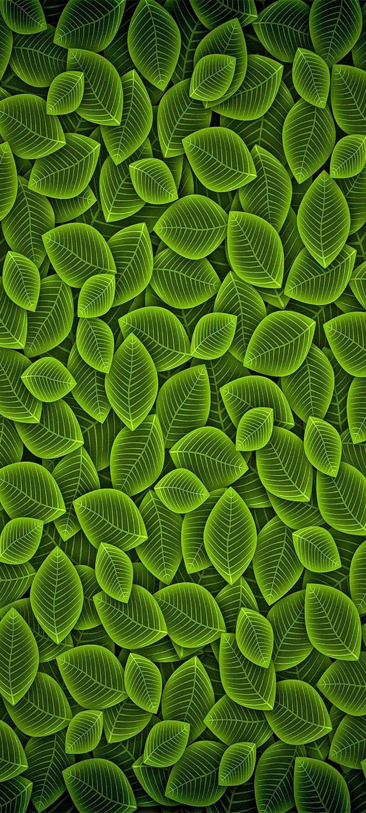 Vivo Y20 Green Leaf Pattern Background
