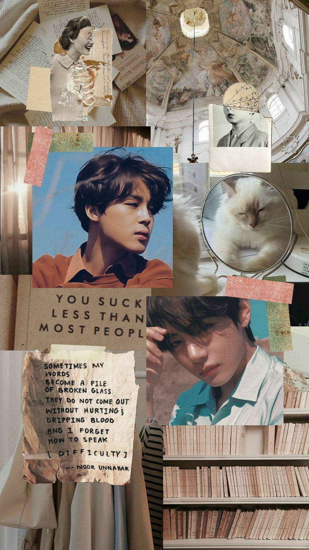 Vmin Library Aesthetic