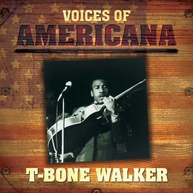 Voices Of Americana T-bone Walker