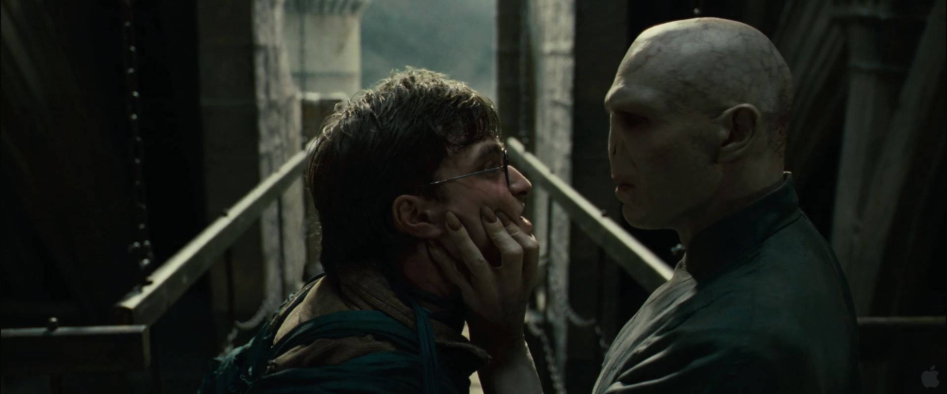 Voldemort And Harry Potter Desktop Background