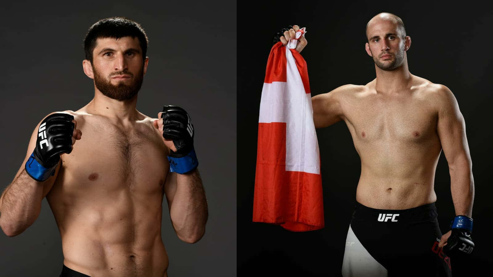 Volkan Oezdemir And Magomed Ankalaev Background