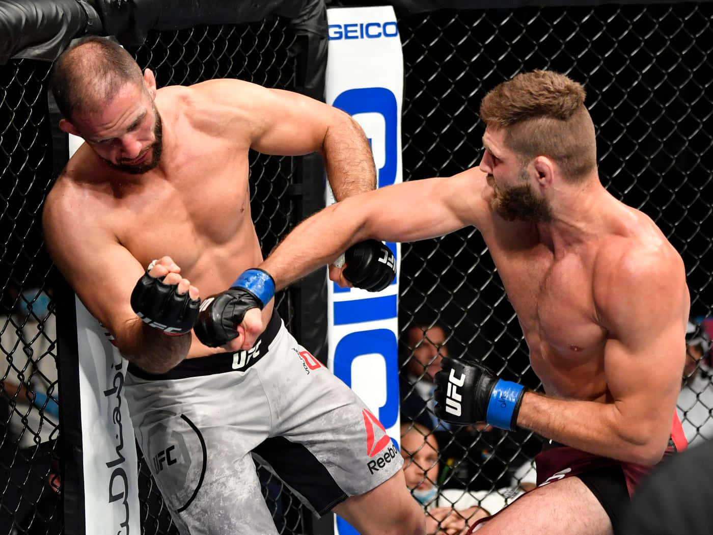 Volkan Oezdemir Versus Jiri Prochazka Background