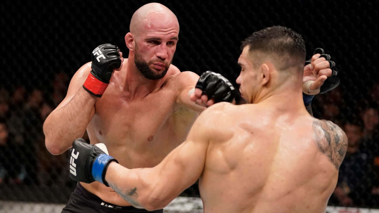 Volkan Oezdemir Vs Aleksandar Rakic Background