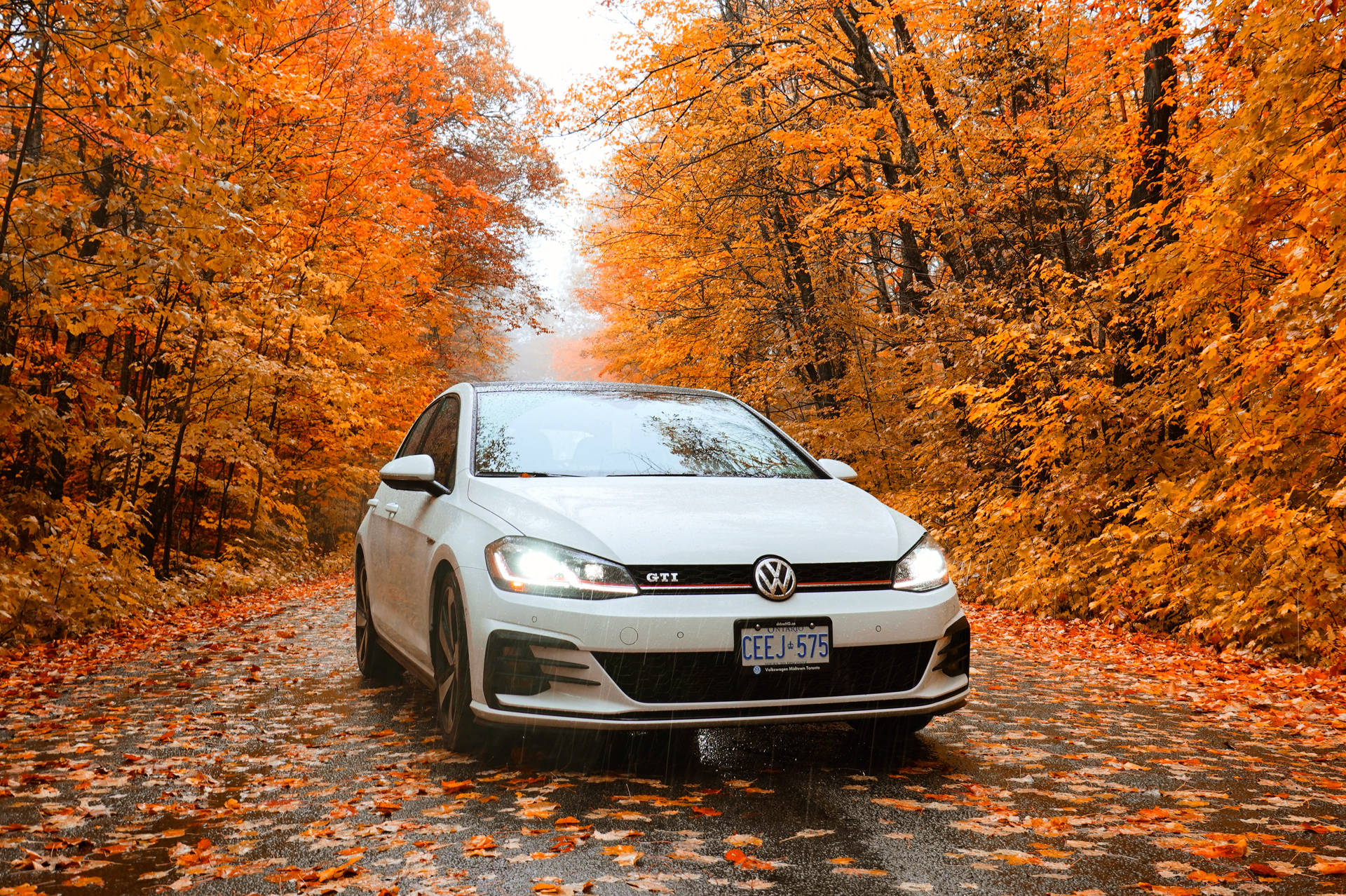 Volkswagen Golf Gti Mk7 In Autumn Background