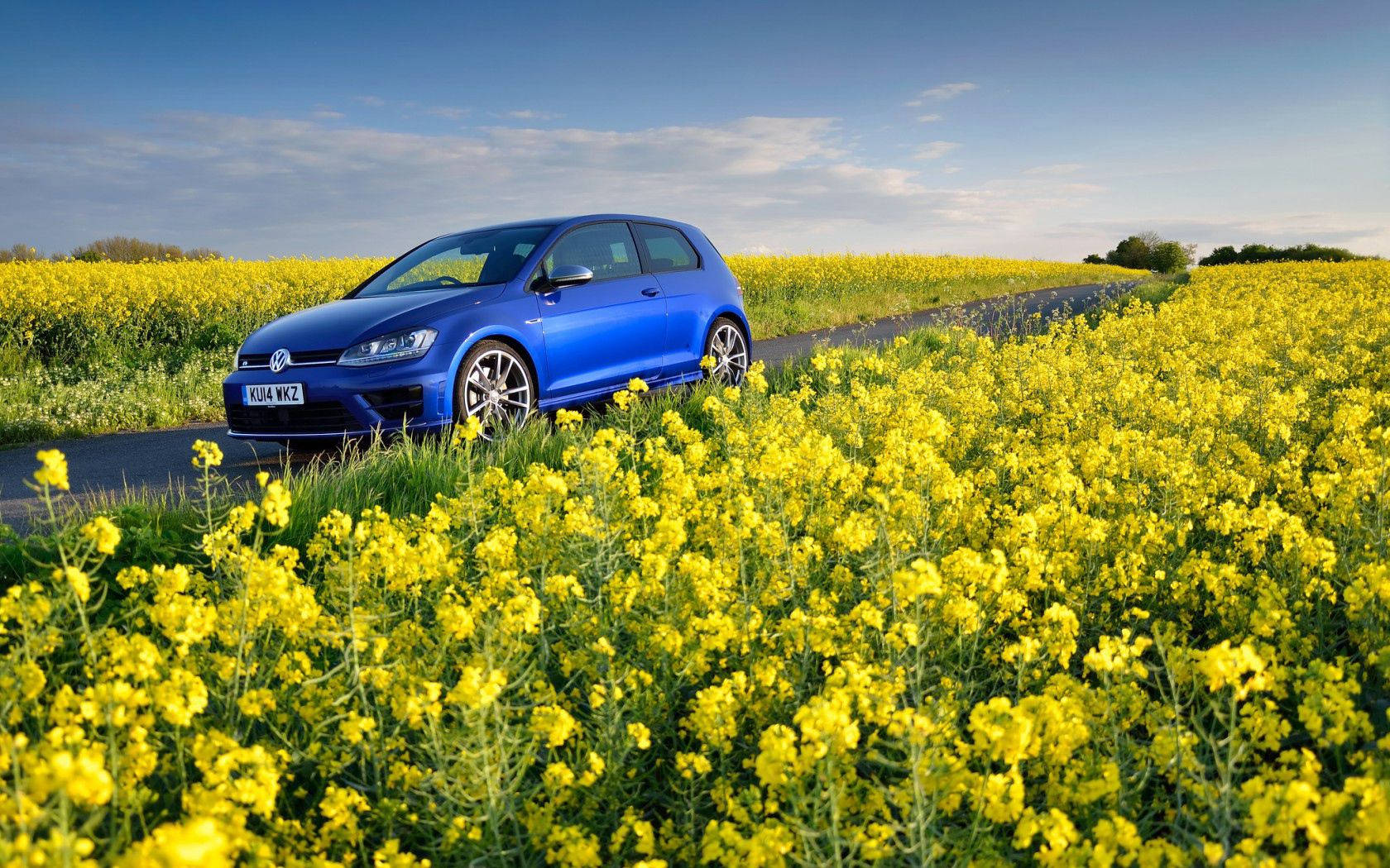 Volkswagen, Golf R, Mk7, Flowers, Field Background
