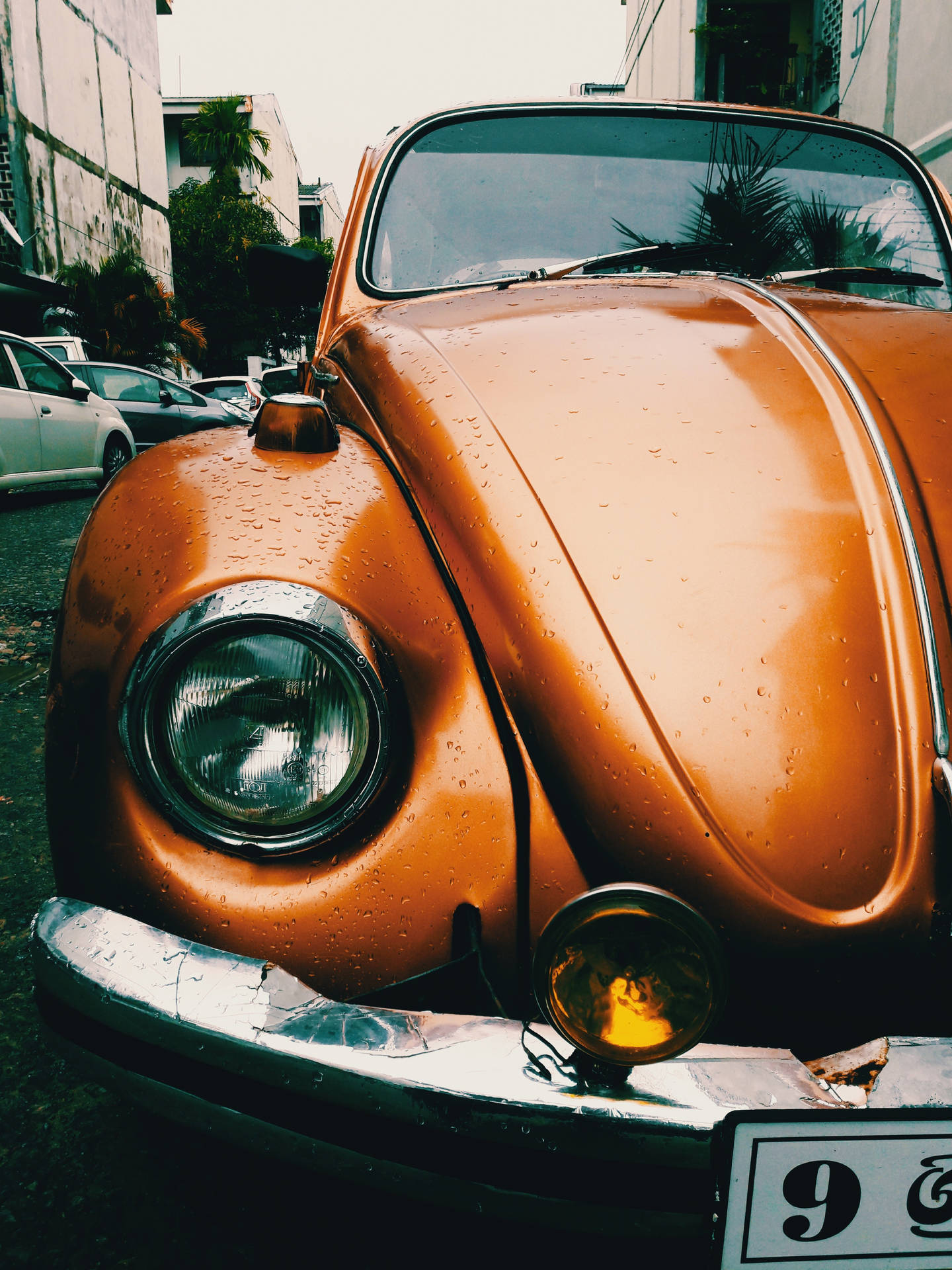 Volkswagen, Volkswagen Beetle, Retro, Auto, Classic Background