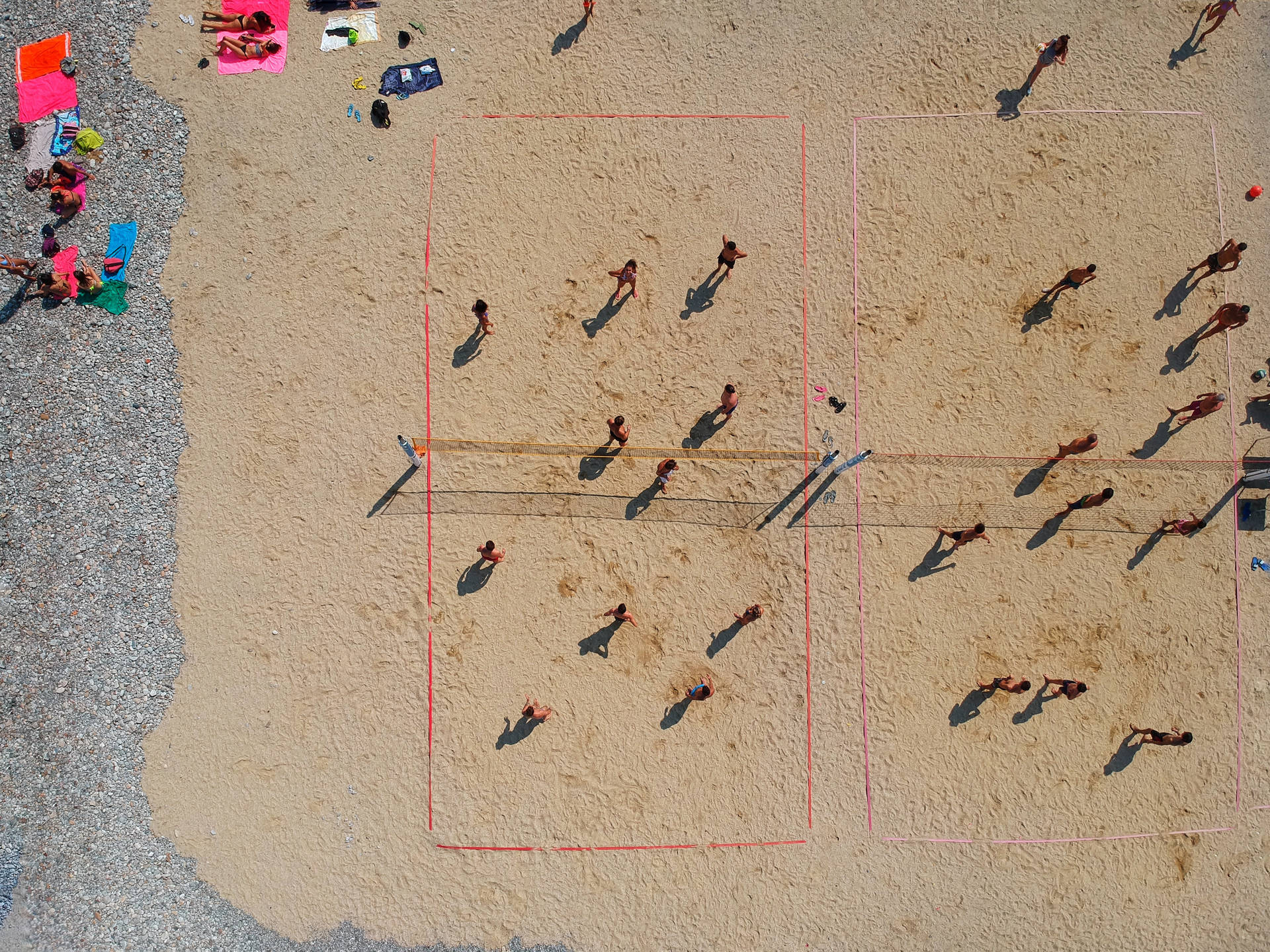 Volleyball Beach In Pink Line