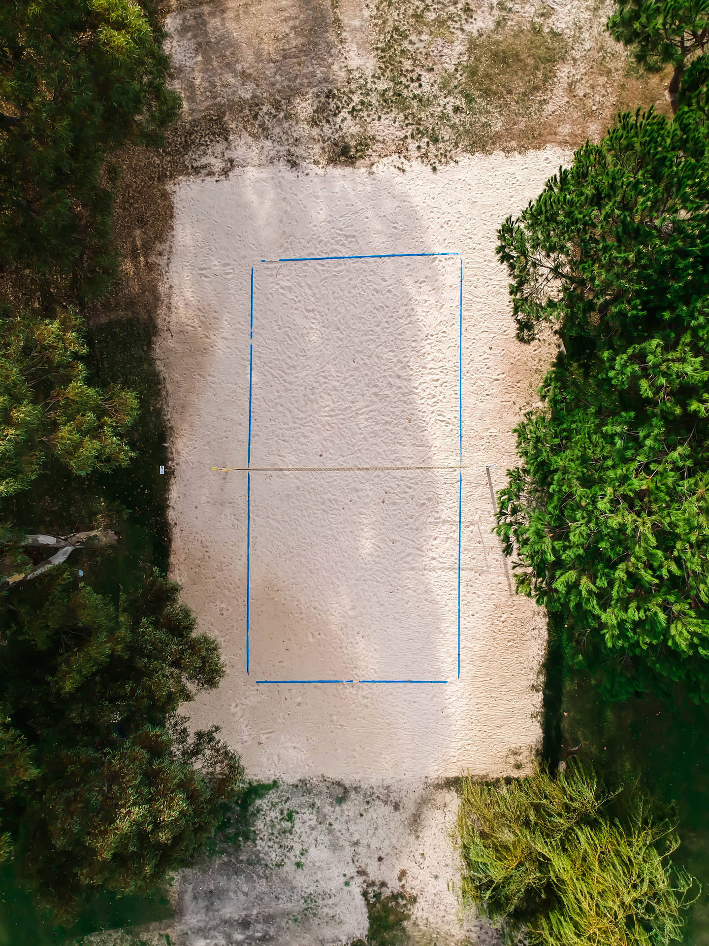 Volleyball Top View Court