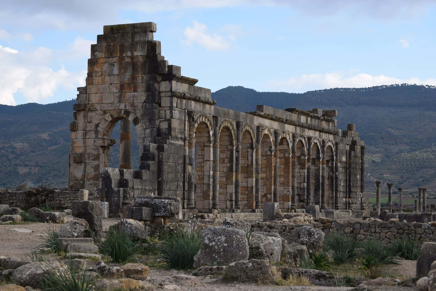 Volubilis Basilica Ruins Background