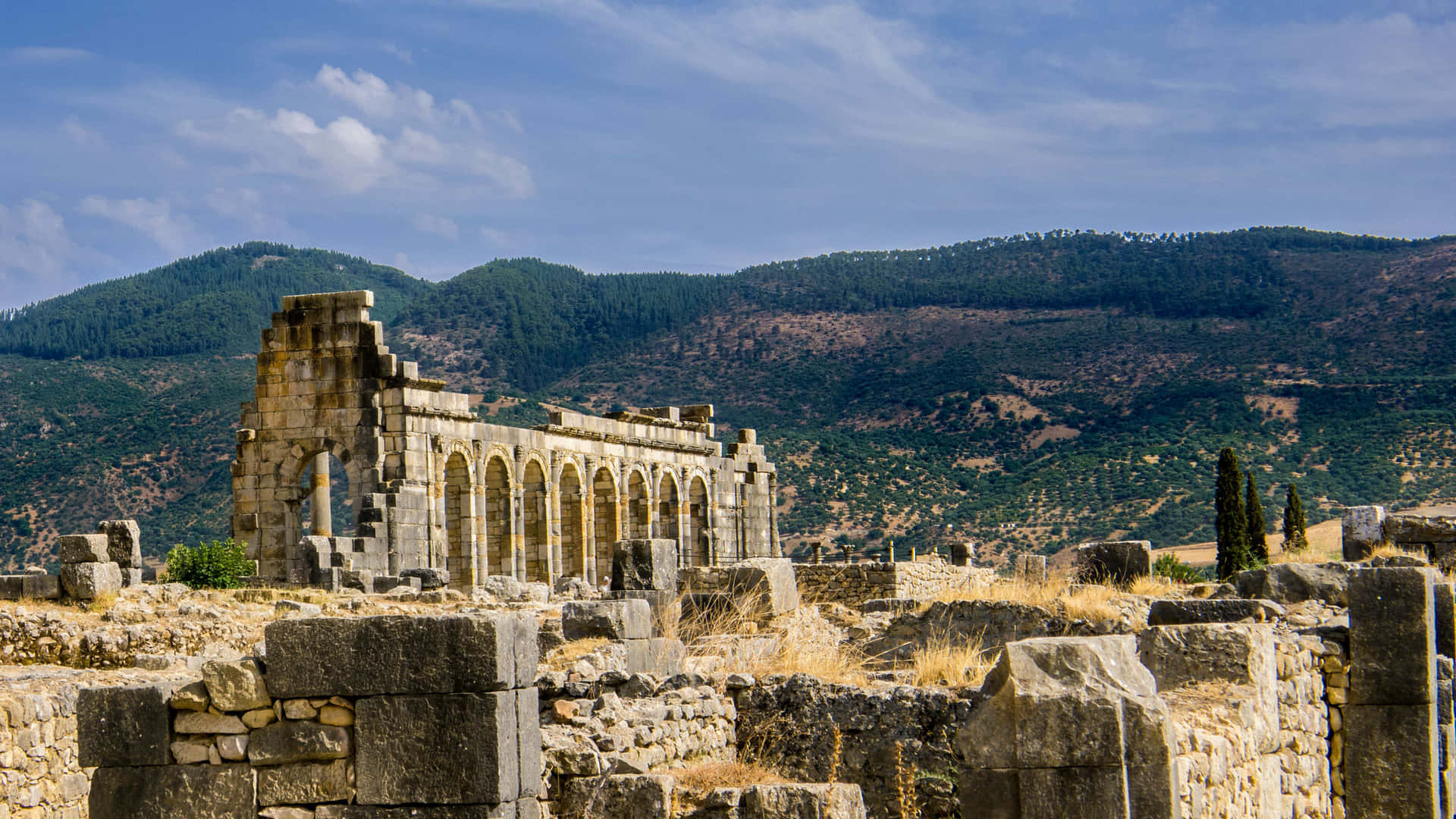 Volubilis Beautiful Complex Background