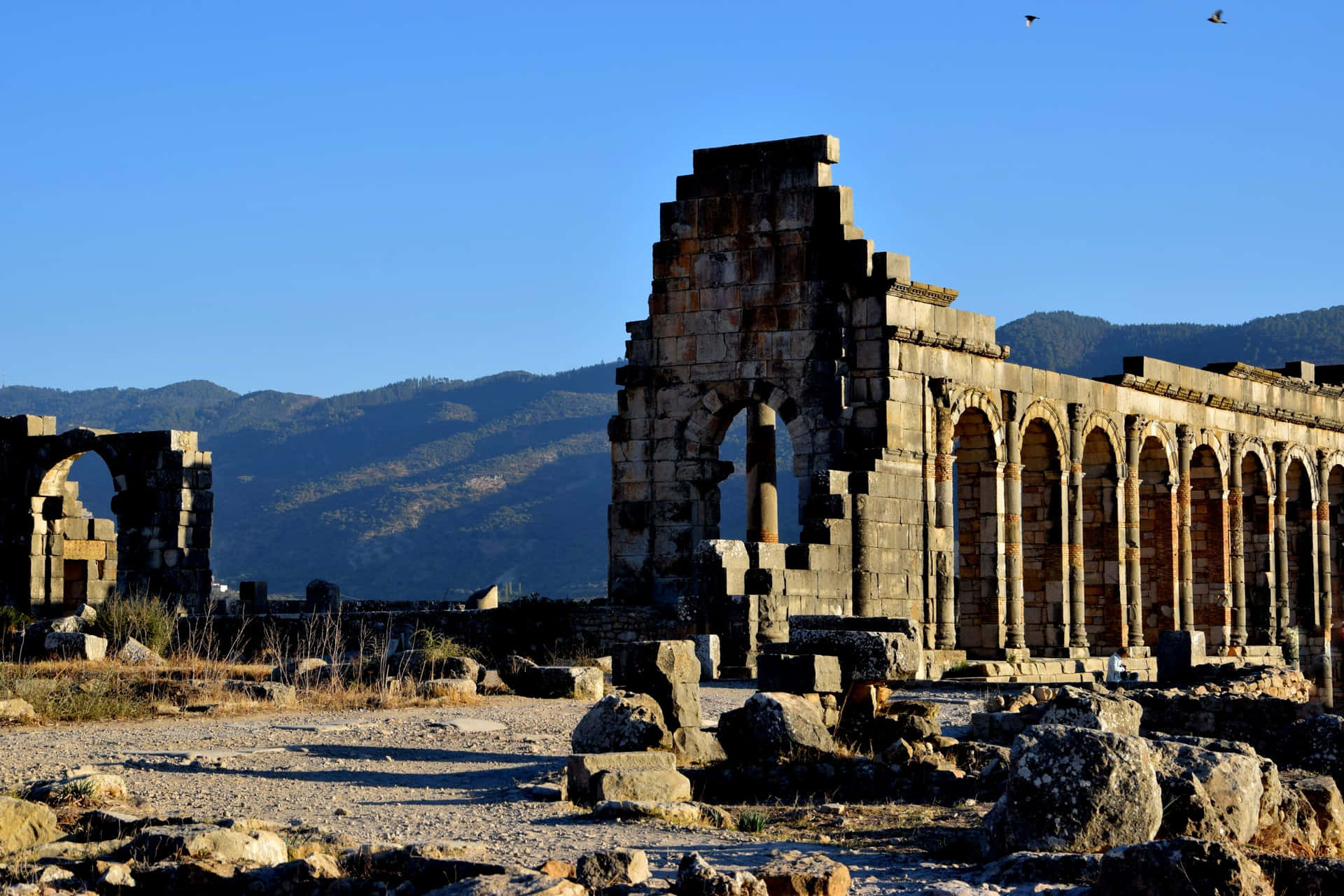Volubilis Blue Skies Mountains Background