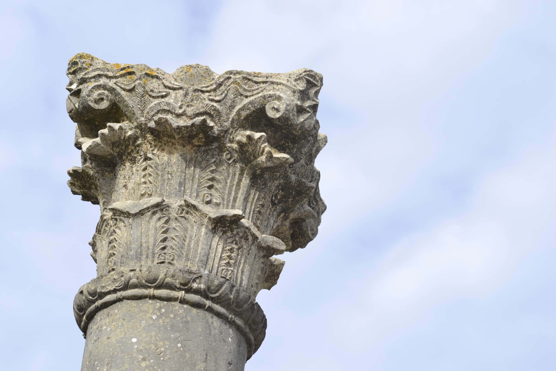 Volubilis Column Top Background