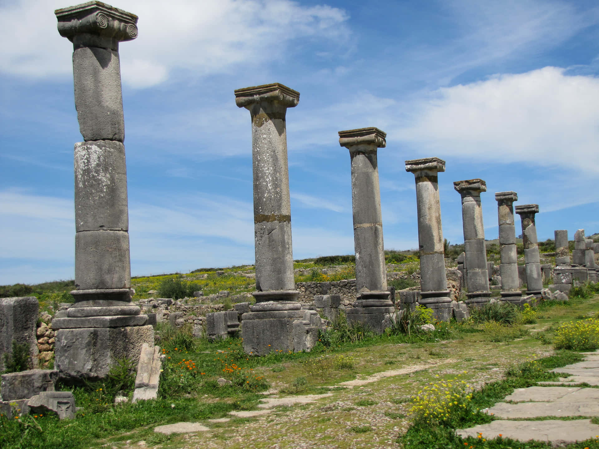 Volubilis Columns On Grass Background