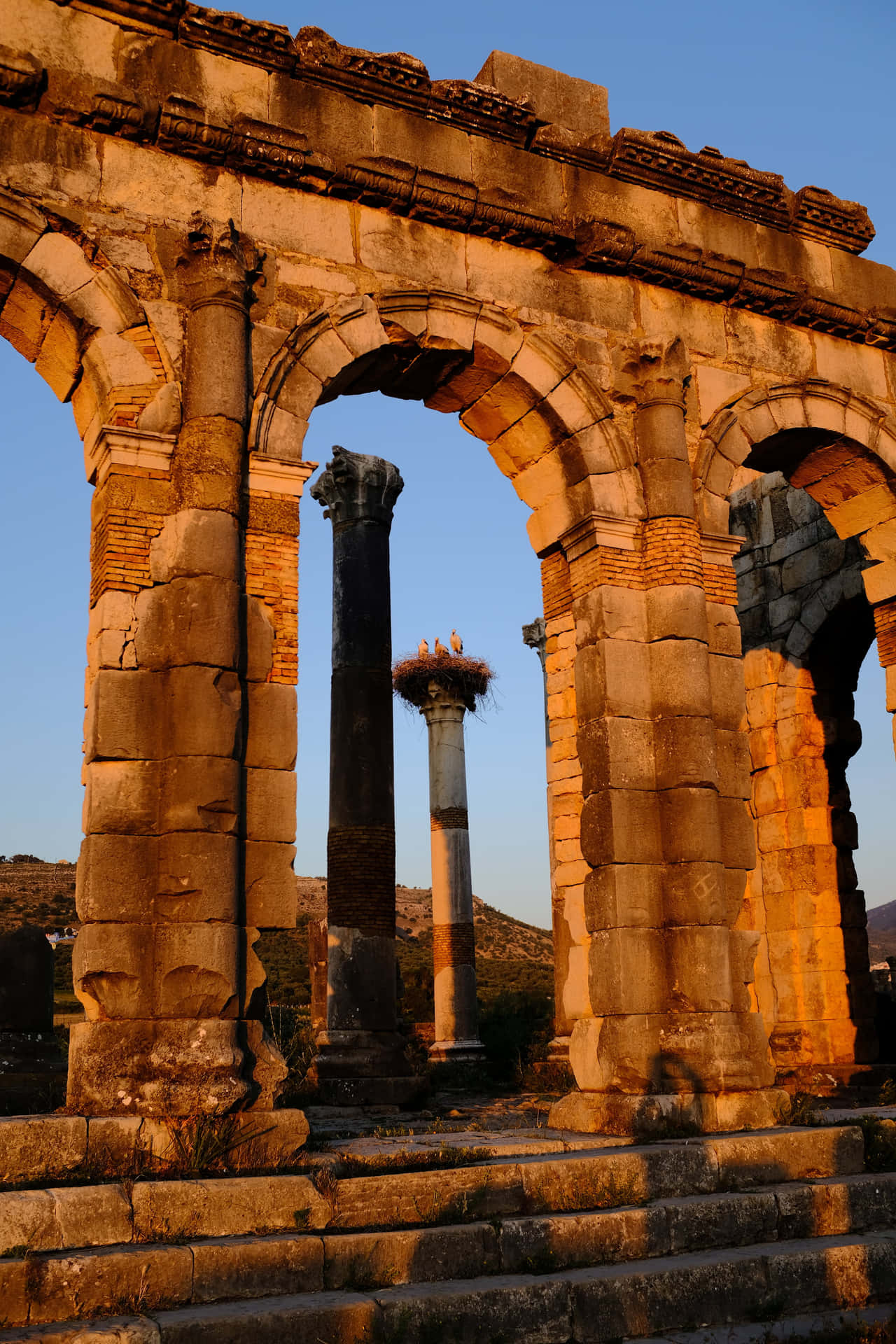 Volubilis Columns Seen From Arch Background