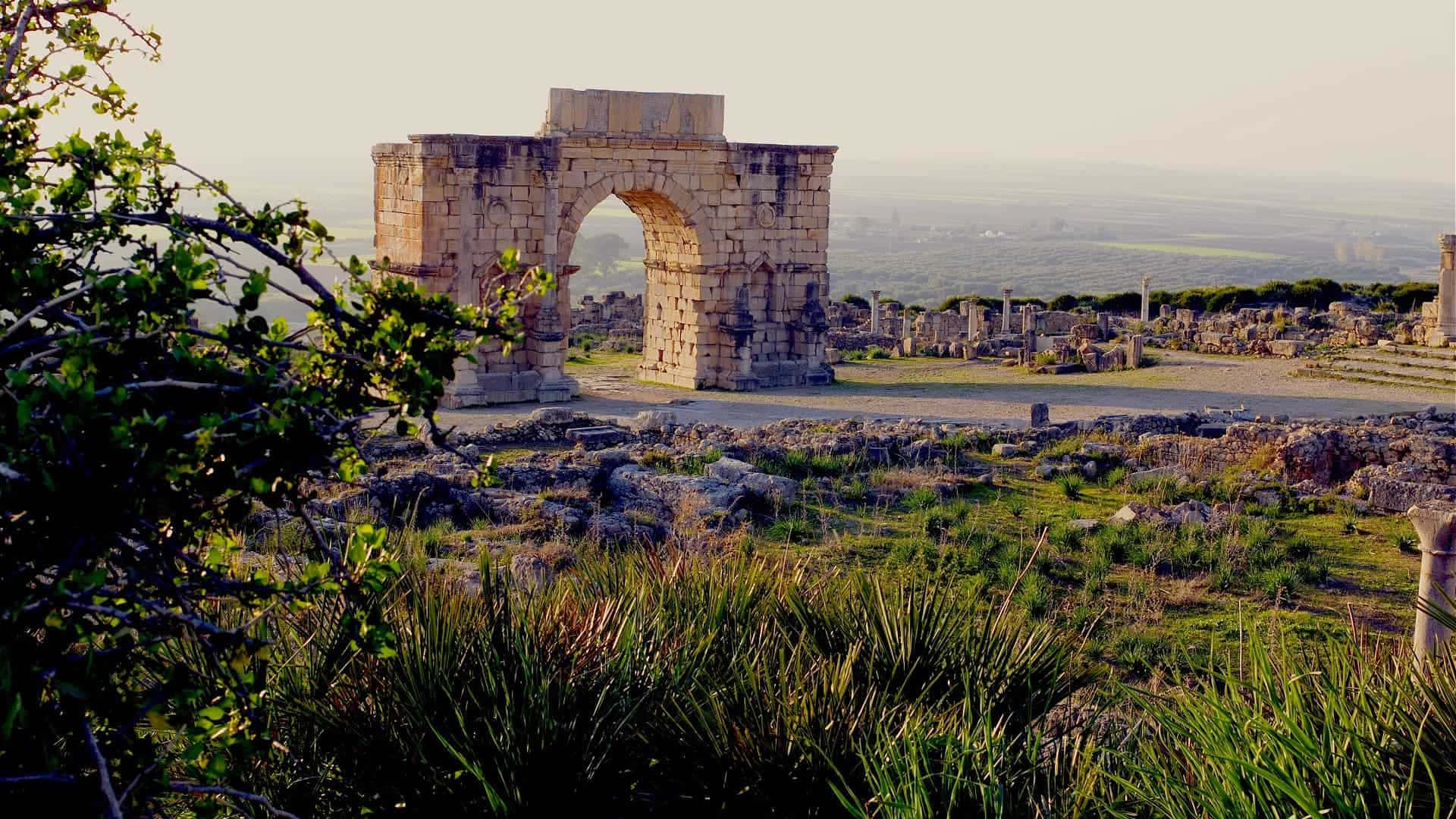 Volubilis Large Single Arch Background