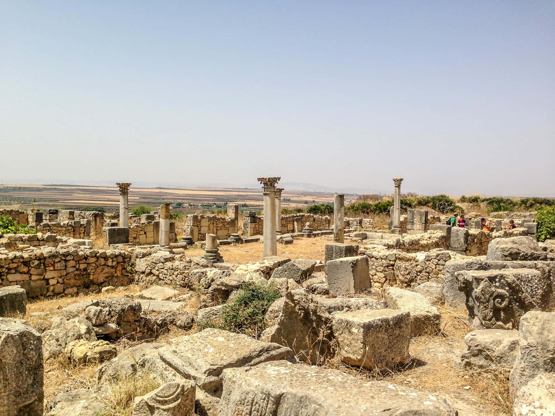 Volubilis Large Stones Background