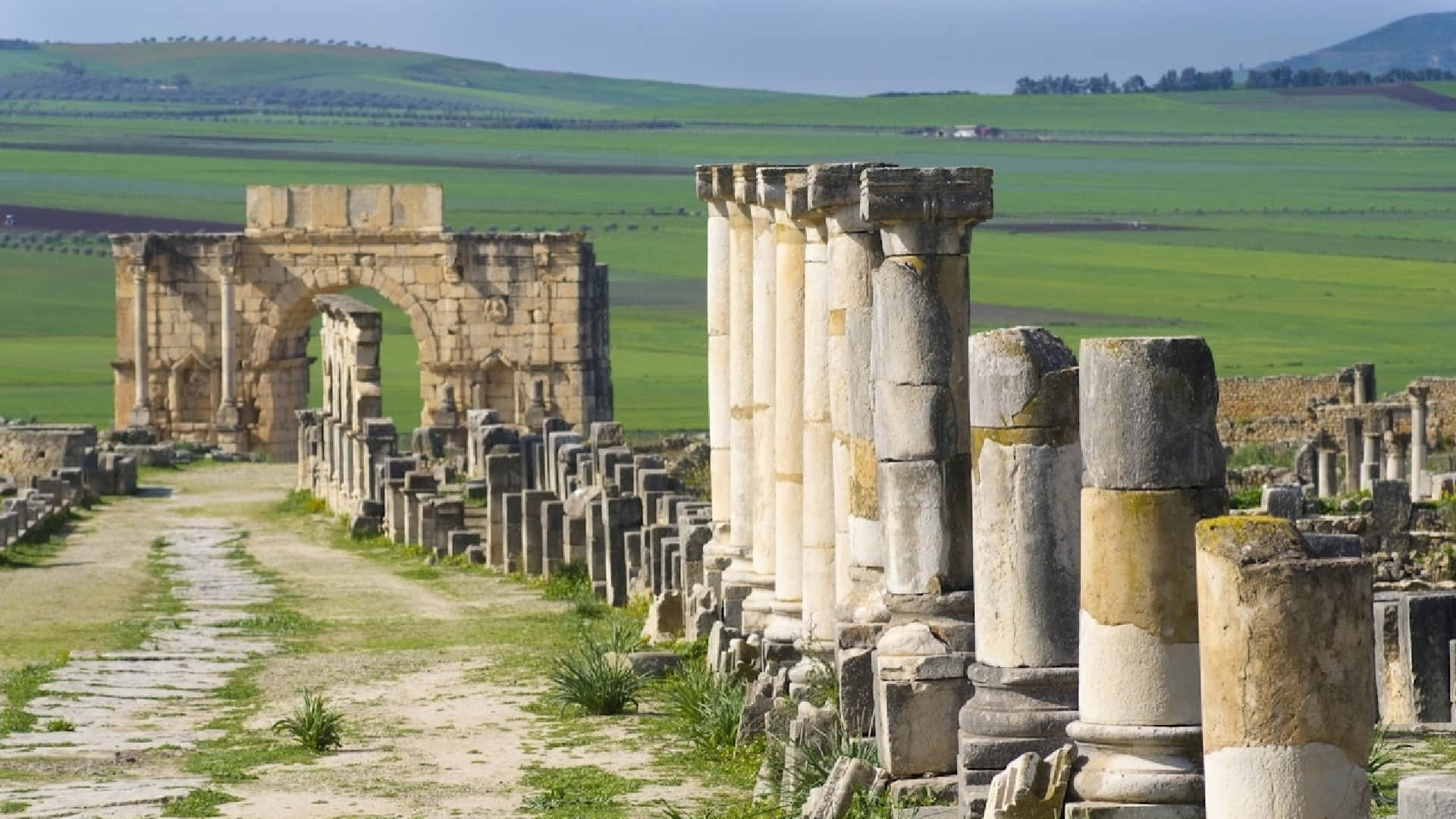 Volubilis Many Columns Grass Background