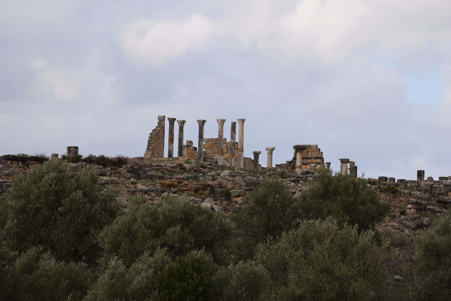 Volubilis Morocco Many Trees Background