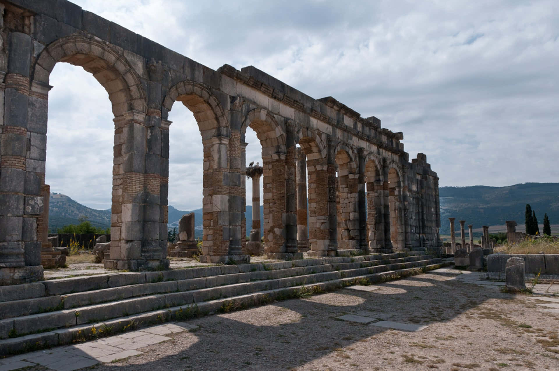Volubilis Ruins Morocco Arches Background