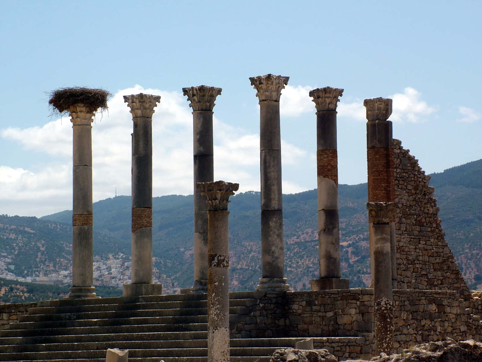 Volubilis Standing Columns Background
