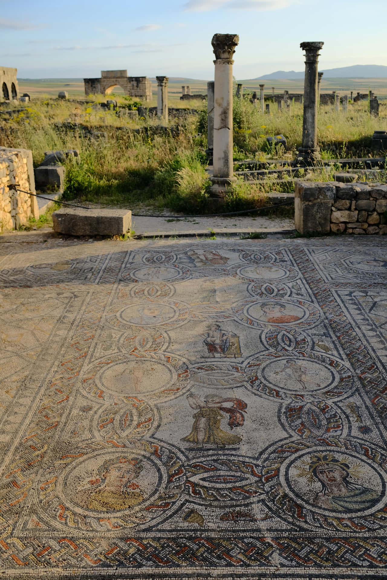Volubilis Stone Floor Columns Background