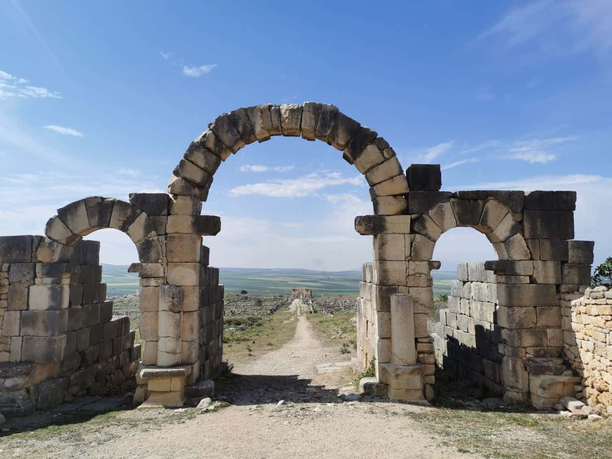 Volubilis Three Arches Background