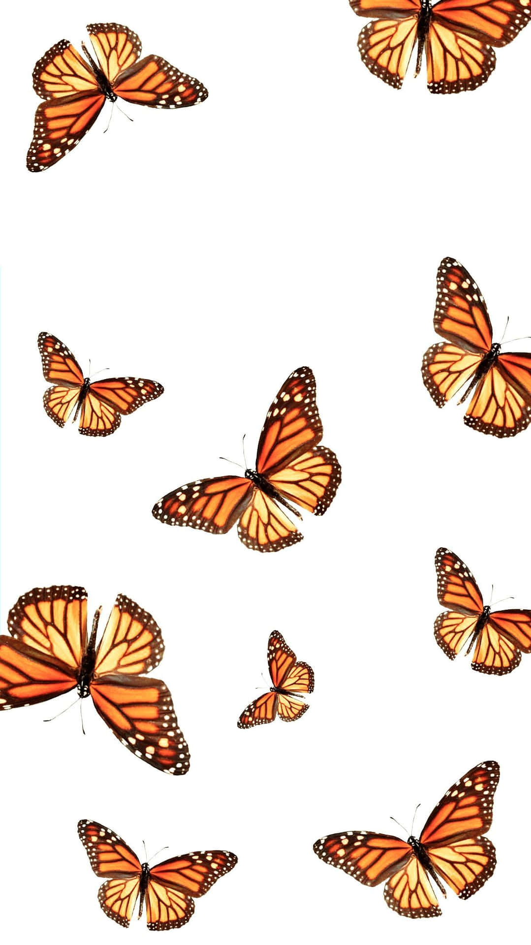 Vsco Butterflies In White Aesthetic Background