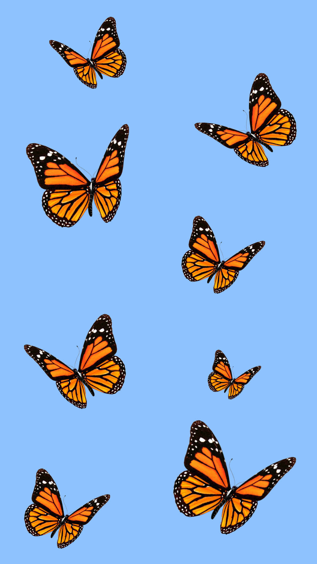 Vsco Butterfly In Blue Aesthetic Background
