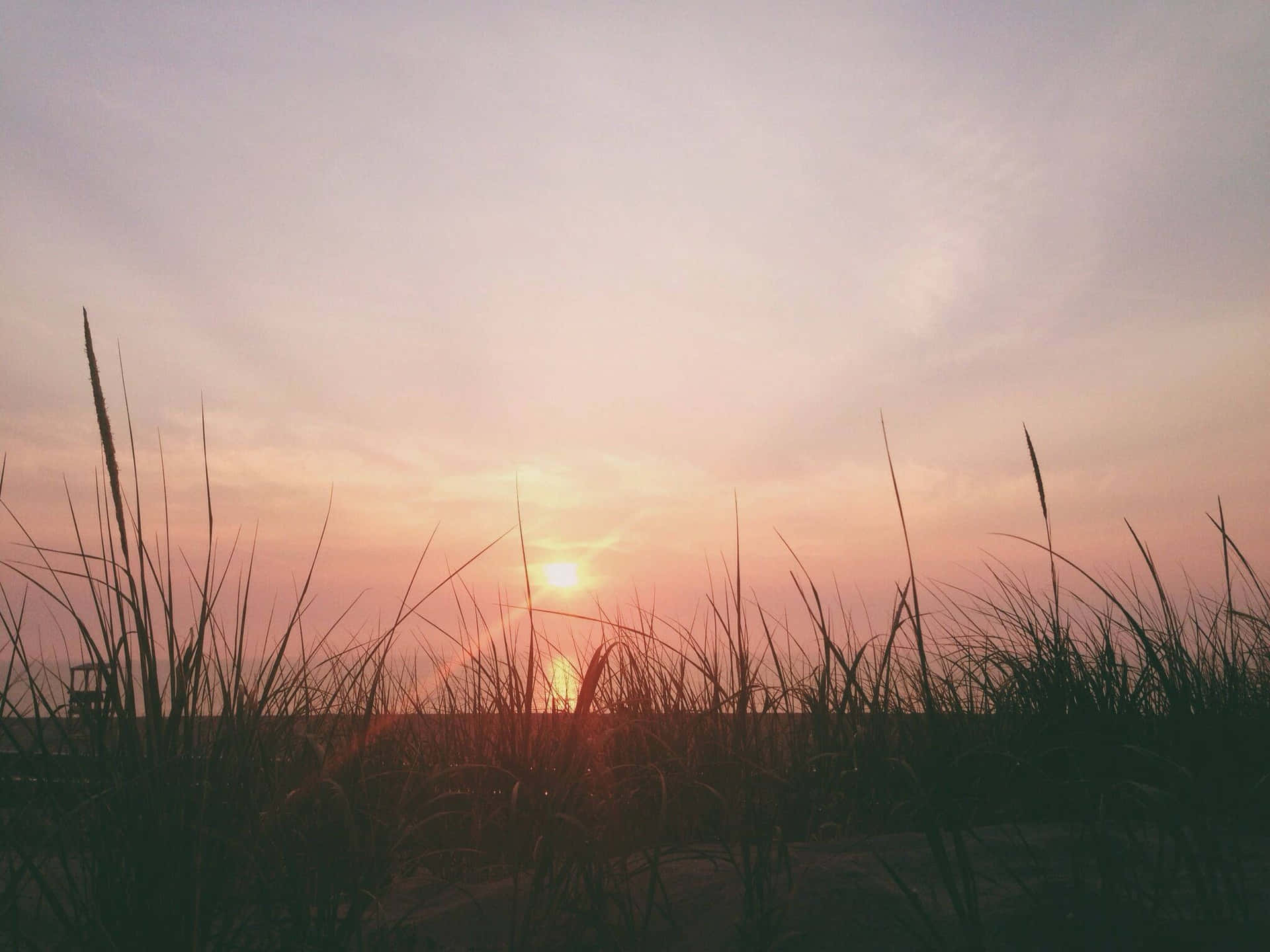 Vsco Laptop Sunset Beyond Grass Background