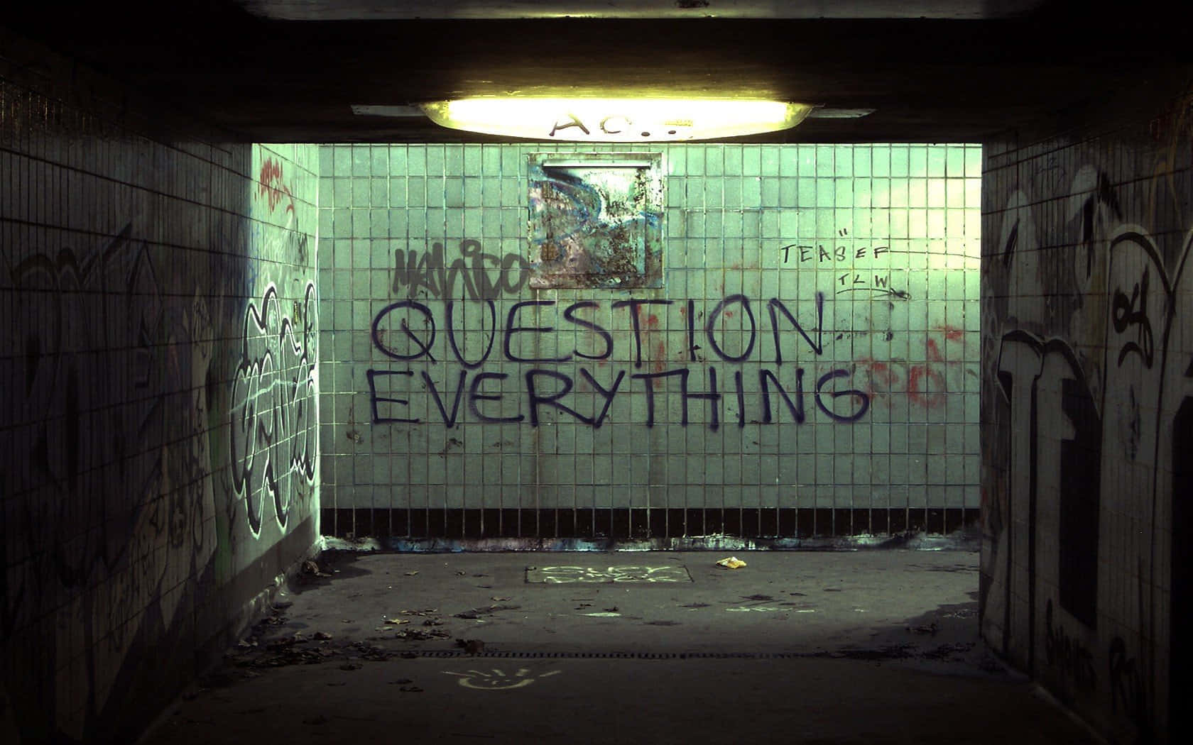 Vulgar Graffiti Quote [wallpaper] Background