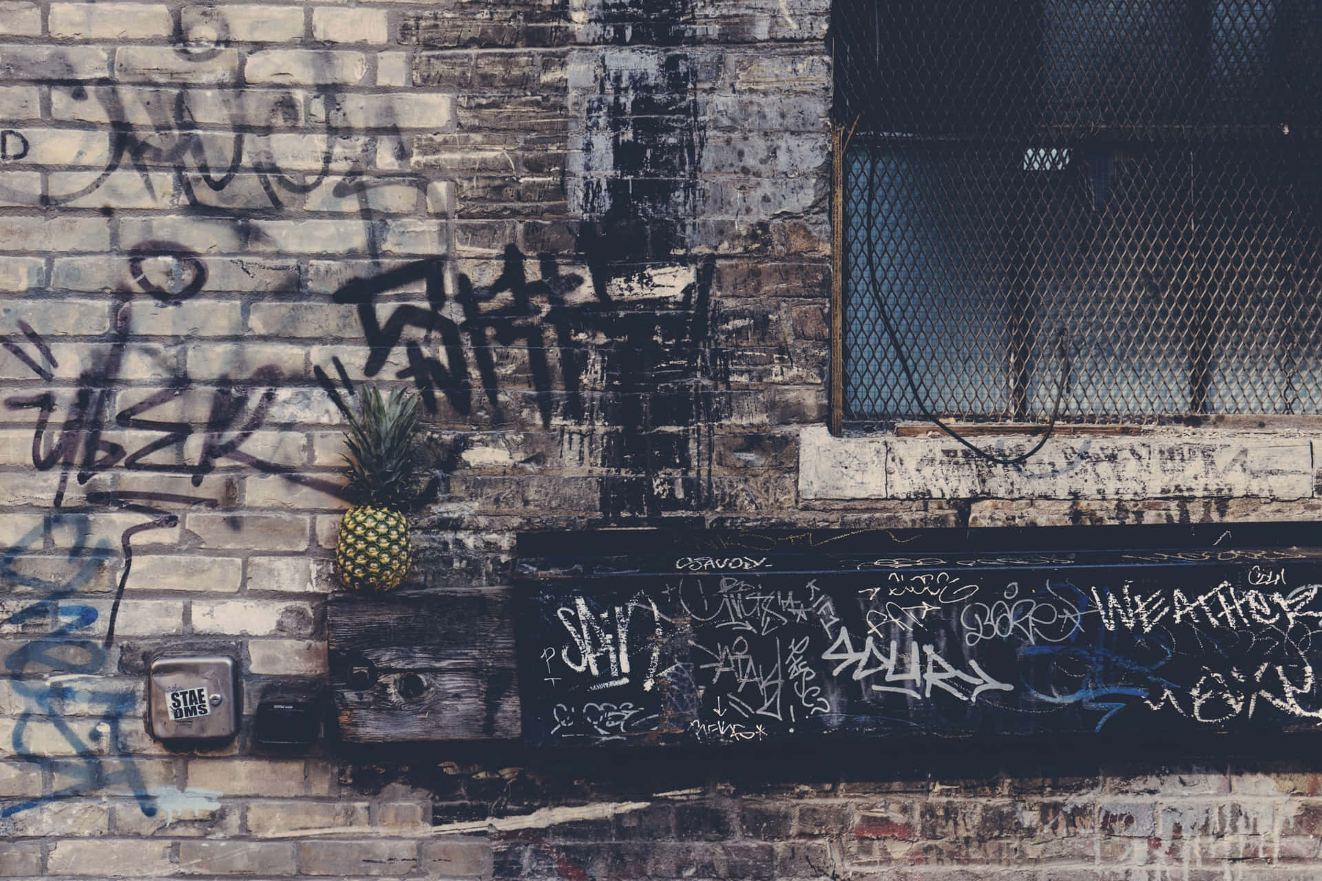 Vulgar Graffiti Scribbles [wallpaper] Background