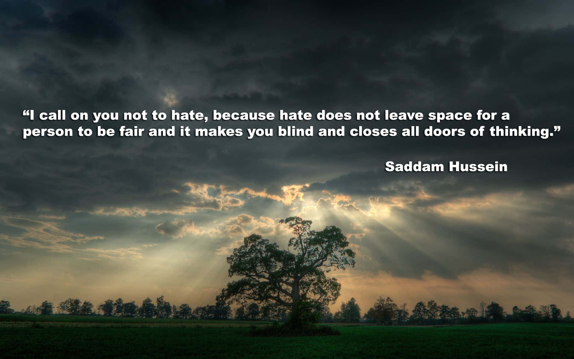 Vulgar Quote About Hate [wallpaper] Background