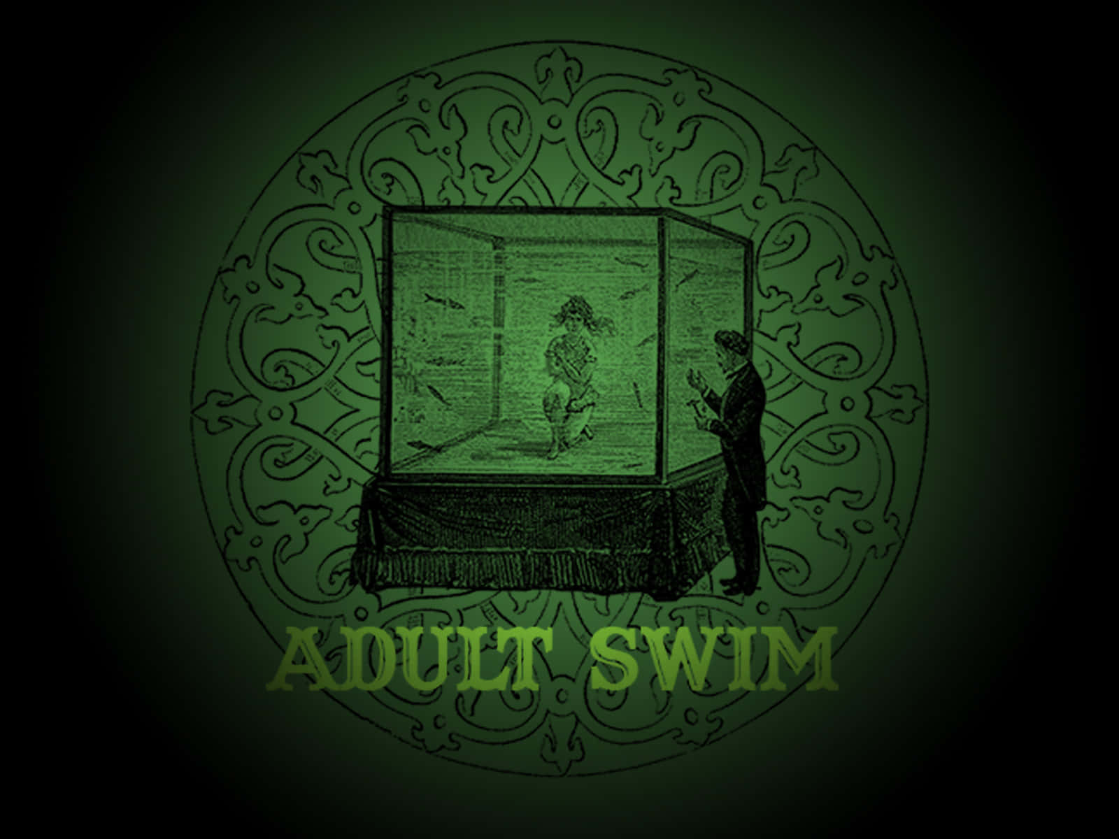 Vulgar Woman In Aquarium [wallpaper] Background