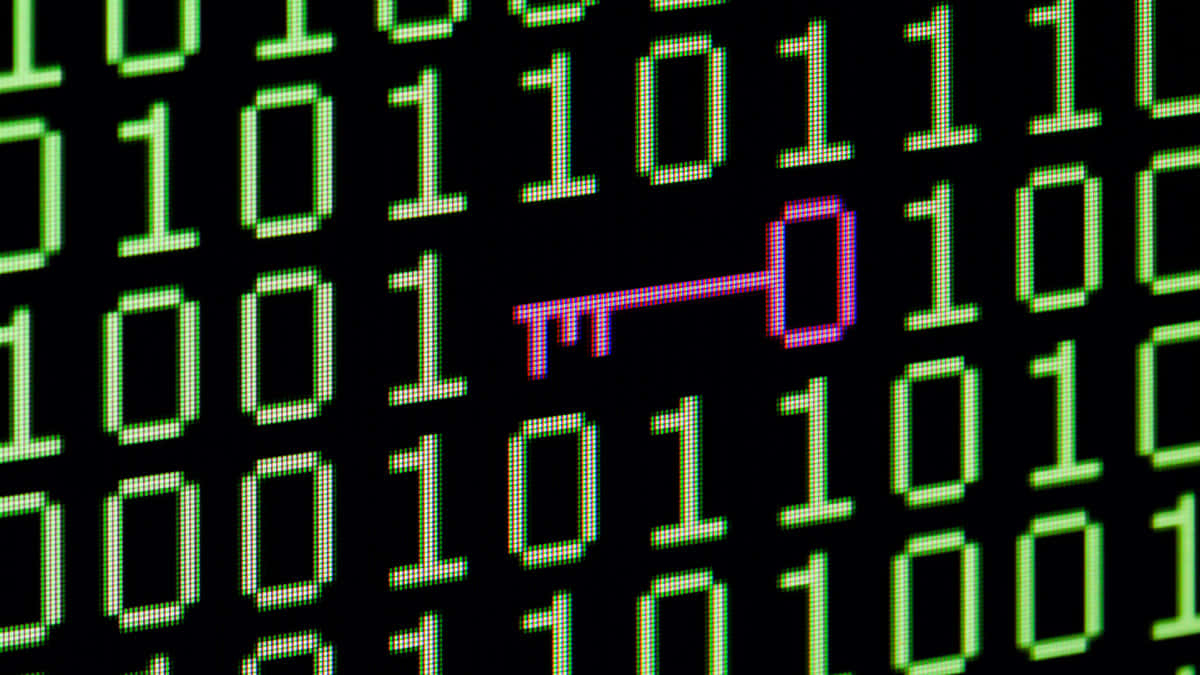 Vulnerable Coding Background