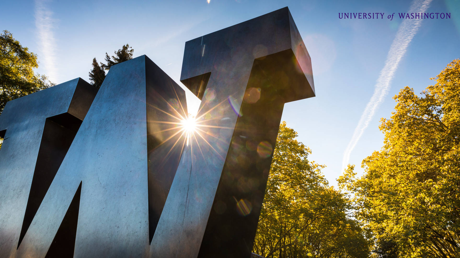 W Sign At University Of Washington Background