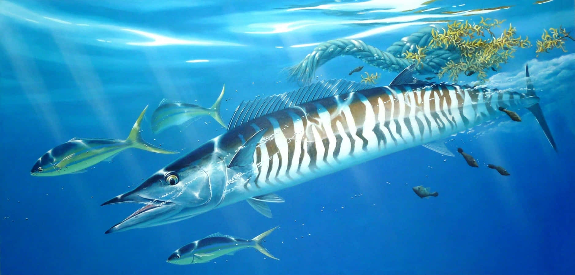 Wahoo Fish Swimming Underwater