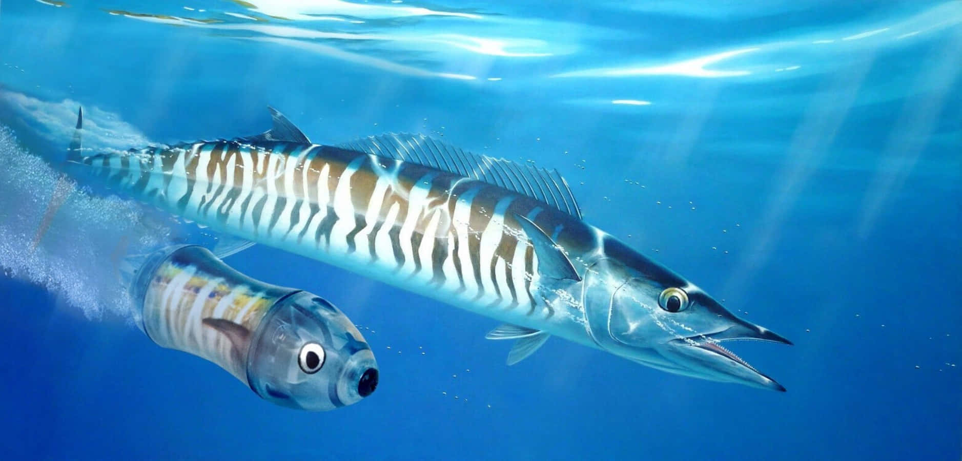 Wahoo Fish Swimming Underwater.jpg